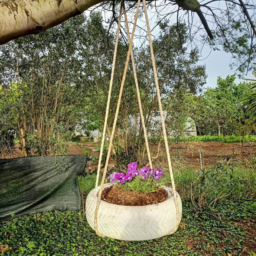 Agriturismo Il Cipresso 베이다 외부 사진