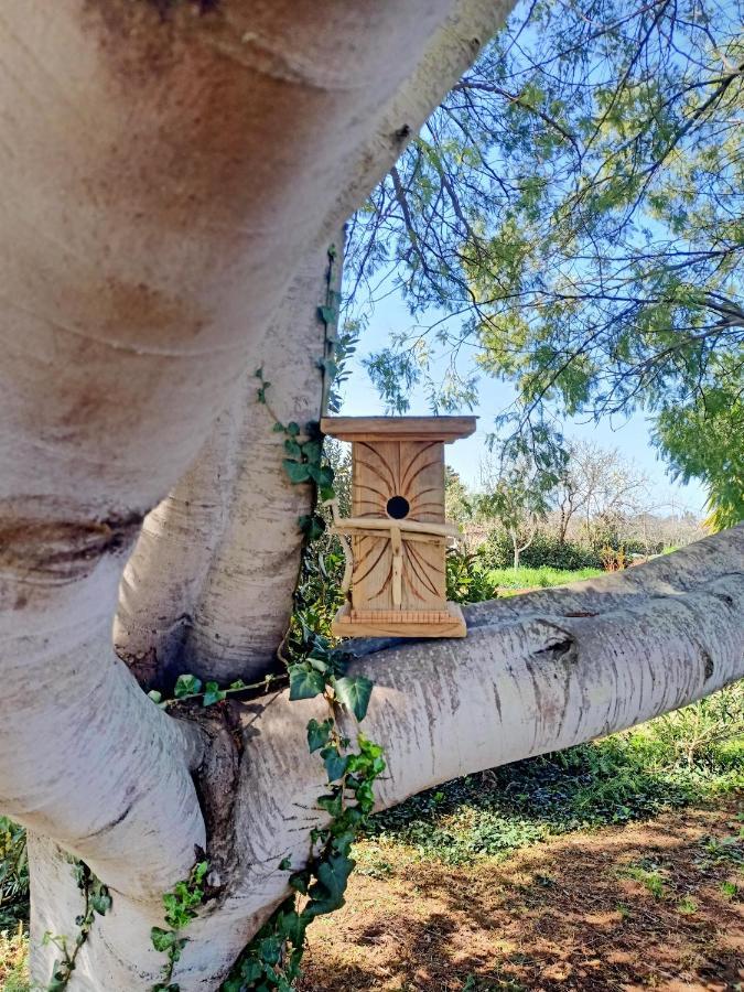 Agriturismo Il Cipresso 베이다 외부 사진