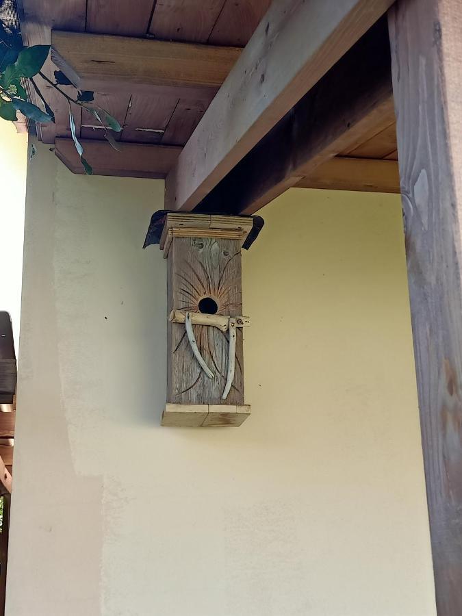 Agriturismo Il Cipresso 베이다 외부 사진