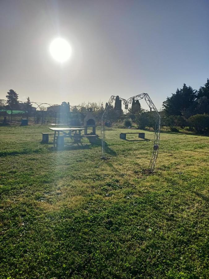 Agriturismo Il Cipresso 베이다 외부 사진