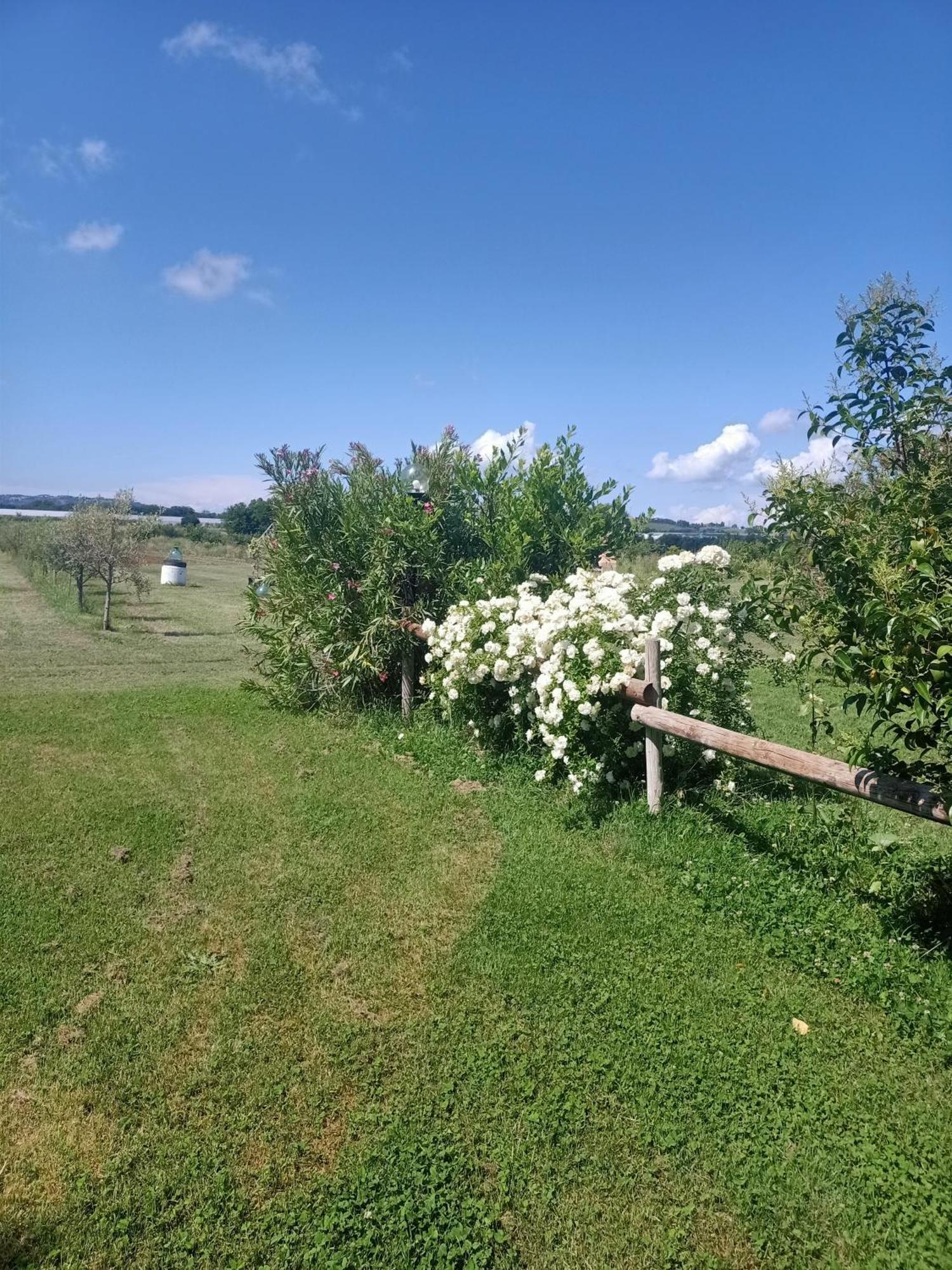 Agriturismo Il Cipresso 베이다 외부 사진