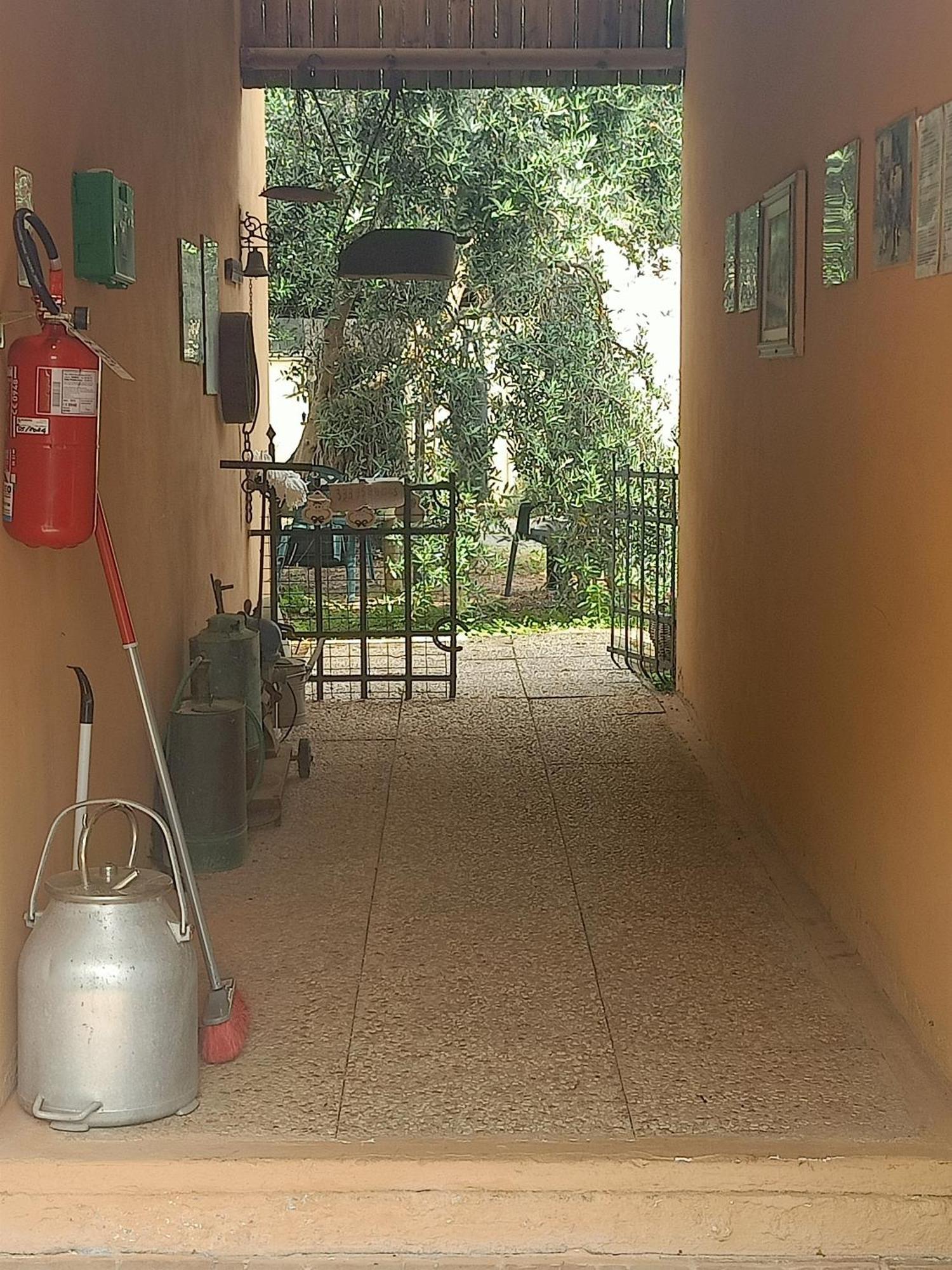 Agriturismo Il Cipresso 베이다 외부 사진