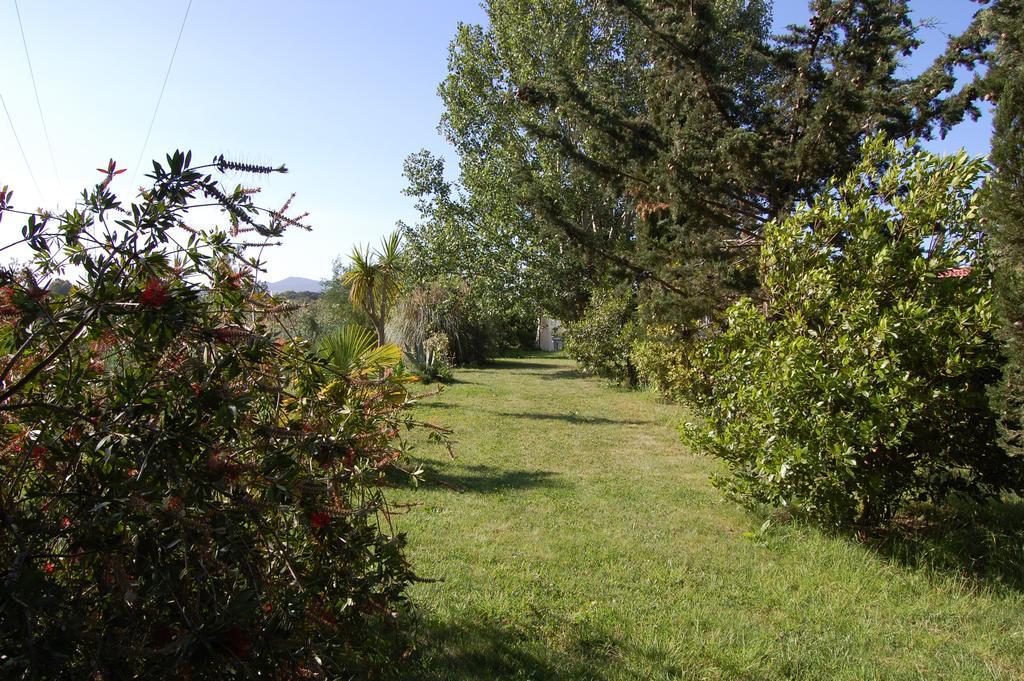 Agriturismo Il Cipresso 베이다 외부 사진